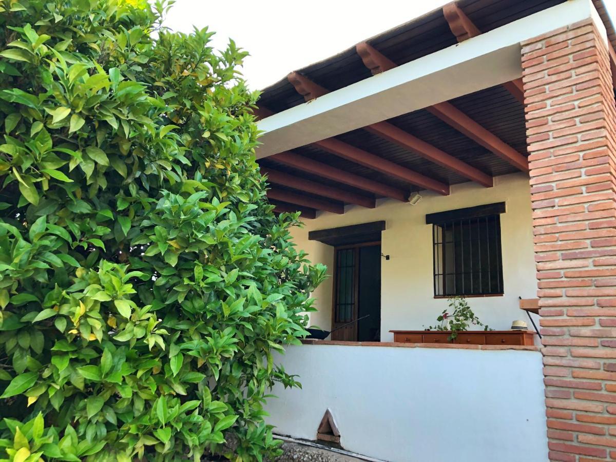 Villa Bonita Nerja Exterior photo
